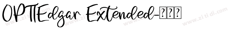 OPTIEdgar Extended字体转换
